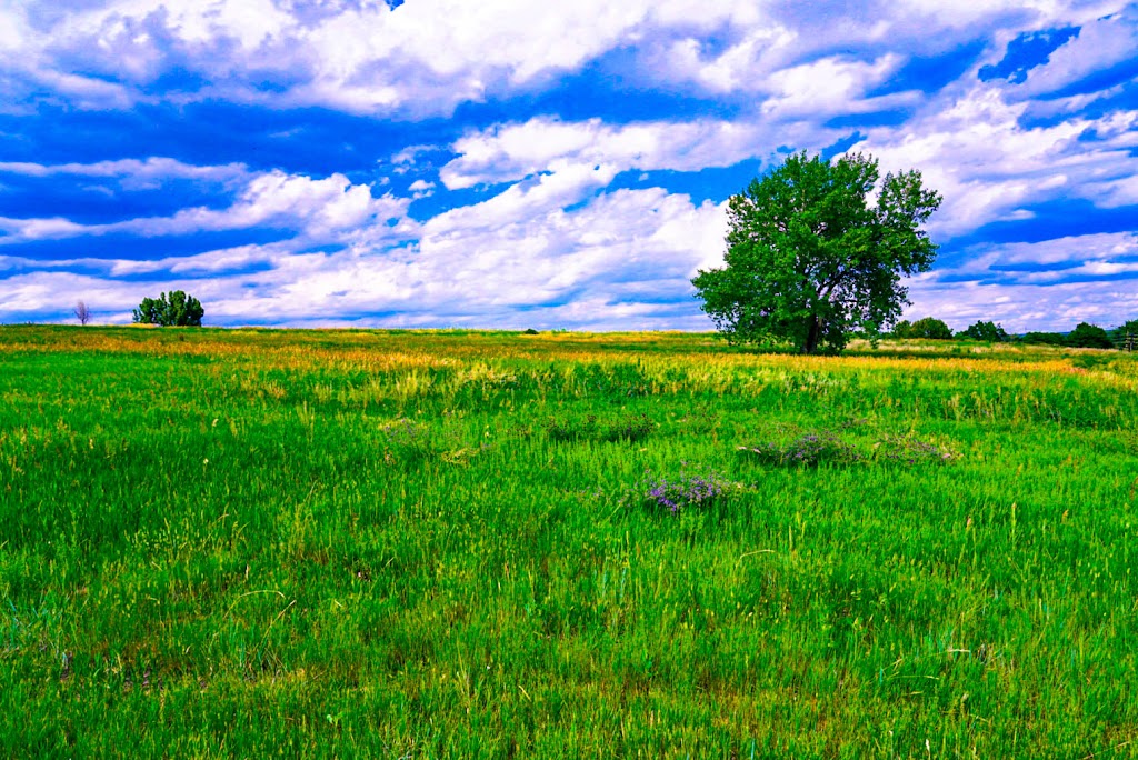 Wynetka Ponds Bark Park | 5875 S Lowell Blvd, Littleton, CO 80123, USA | Phone: (303) 798-5131