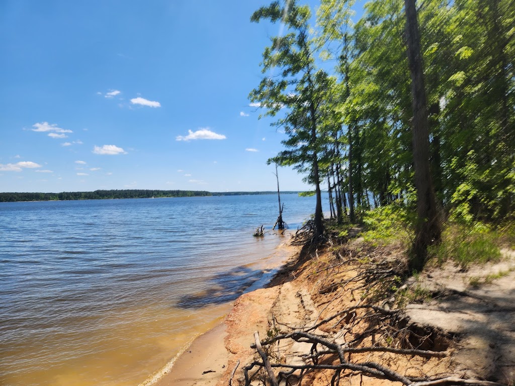 Jordan Lake Educational State Forest | 2832 Big Woods Rd, Chapel Hill, NC 27517, USA | Phone: (919) 542-1154