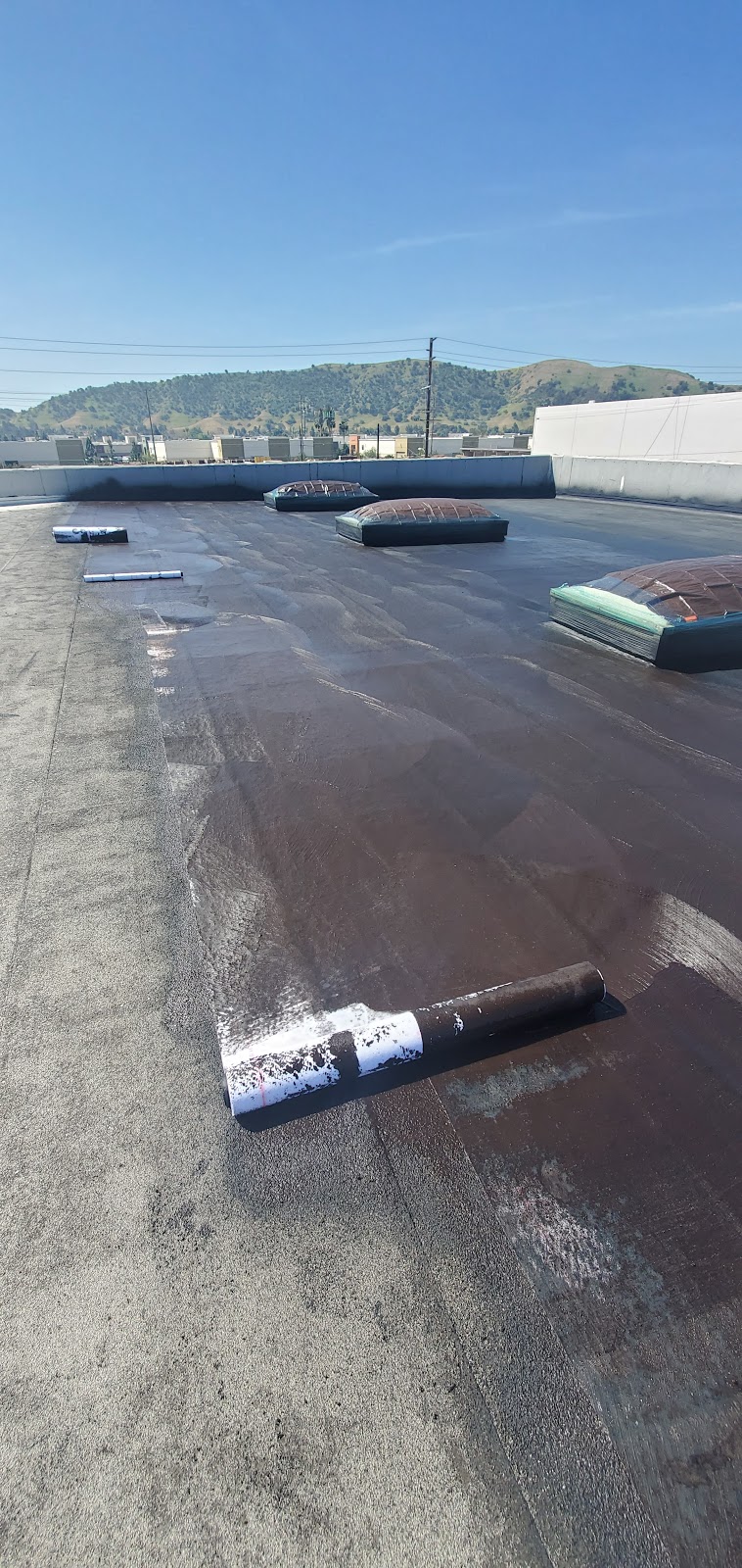 GREEN ROOFING | 5050 Linden Ave, Long Beach, CA 90805 | Phone: (562) 313-7715