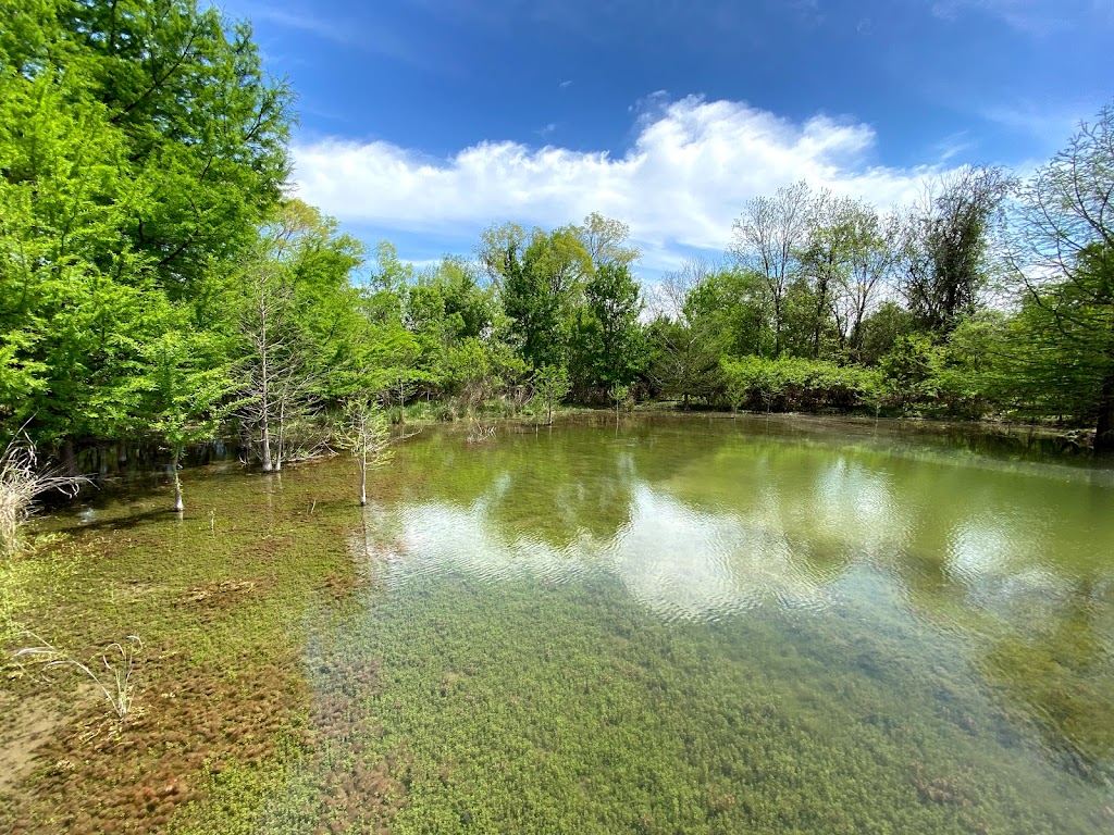 Cibolo Center for Conservation | 140 City Park Rd, Boerne, TX 78006, USA | Phone: (830) 249-4616