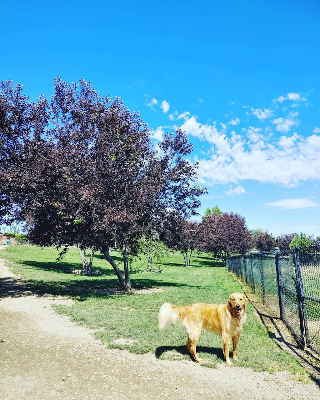 Amity Dog Park | 2900 2nd St S, Nampa, ID 83686, USA | Phone: (208) 468-5858