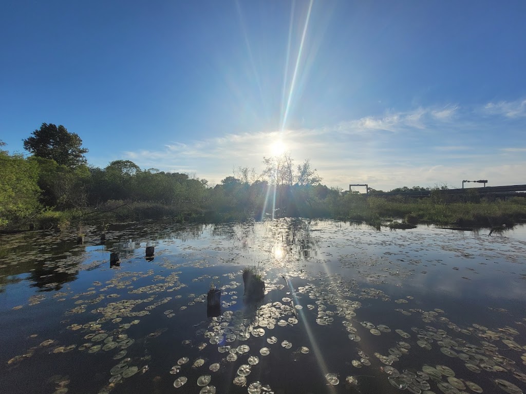 Beaver Lodge Sanctuary | 37th Ave E, Seattle, WA 98112, USA | Phone: (206) 684-5146