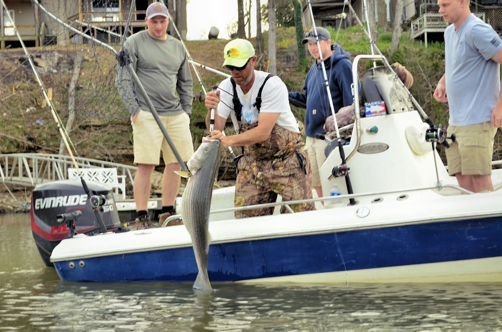 Stripemasters Guide Service | Smith Lake Dam Rd, Jasper, AL 35504, USA | Phone: (205) 544-1310