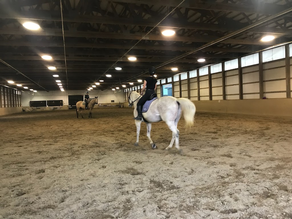 Legacy Equestrian Center | 7909 Sherman Rd, Chesterland, OH 44026, USA | Phone: (440) 479-4151