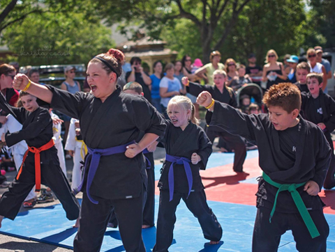 Karate Kens | 5901 S Transit Rd, Lockport, NY 14094, USA | Phone: (716) 439-1198