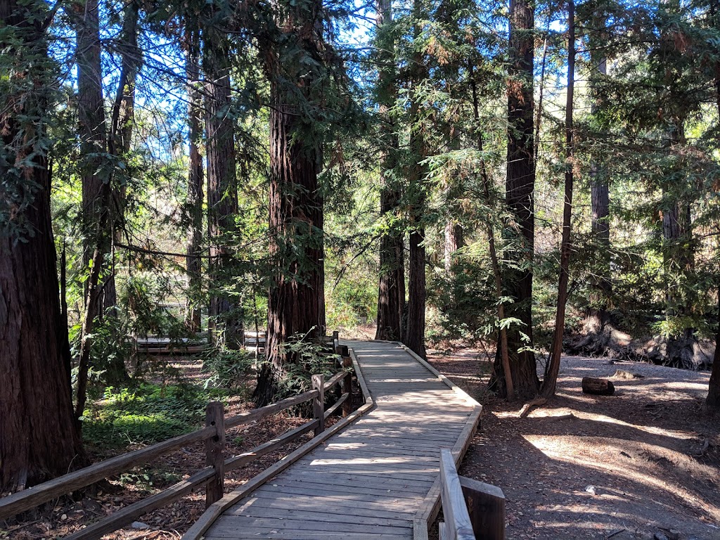 Redwood Grove Nature Preserve | 482 University Ave, Los Altos, CA 94022, USA | Phone: (650) 947-2790