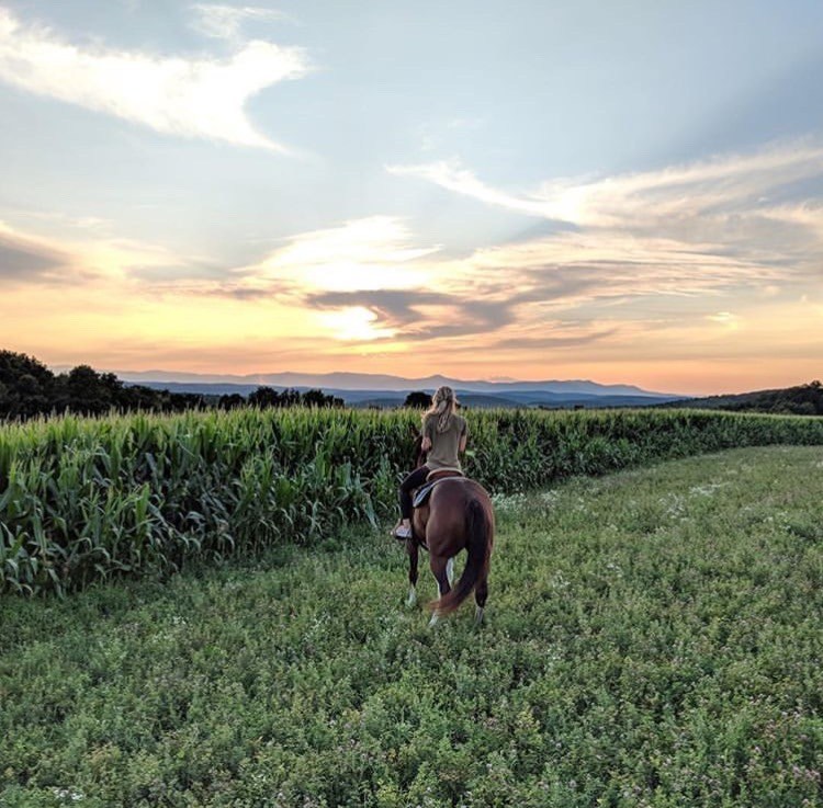 Mountain Valley Farm | 228 Sawchuck Rd, Millerton, NY 12546, USA | Phone: (212) 888-8545