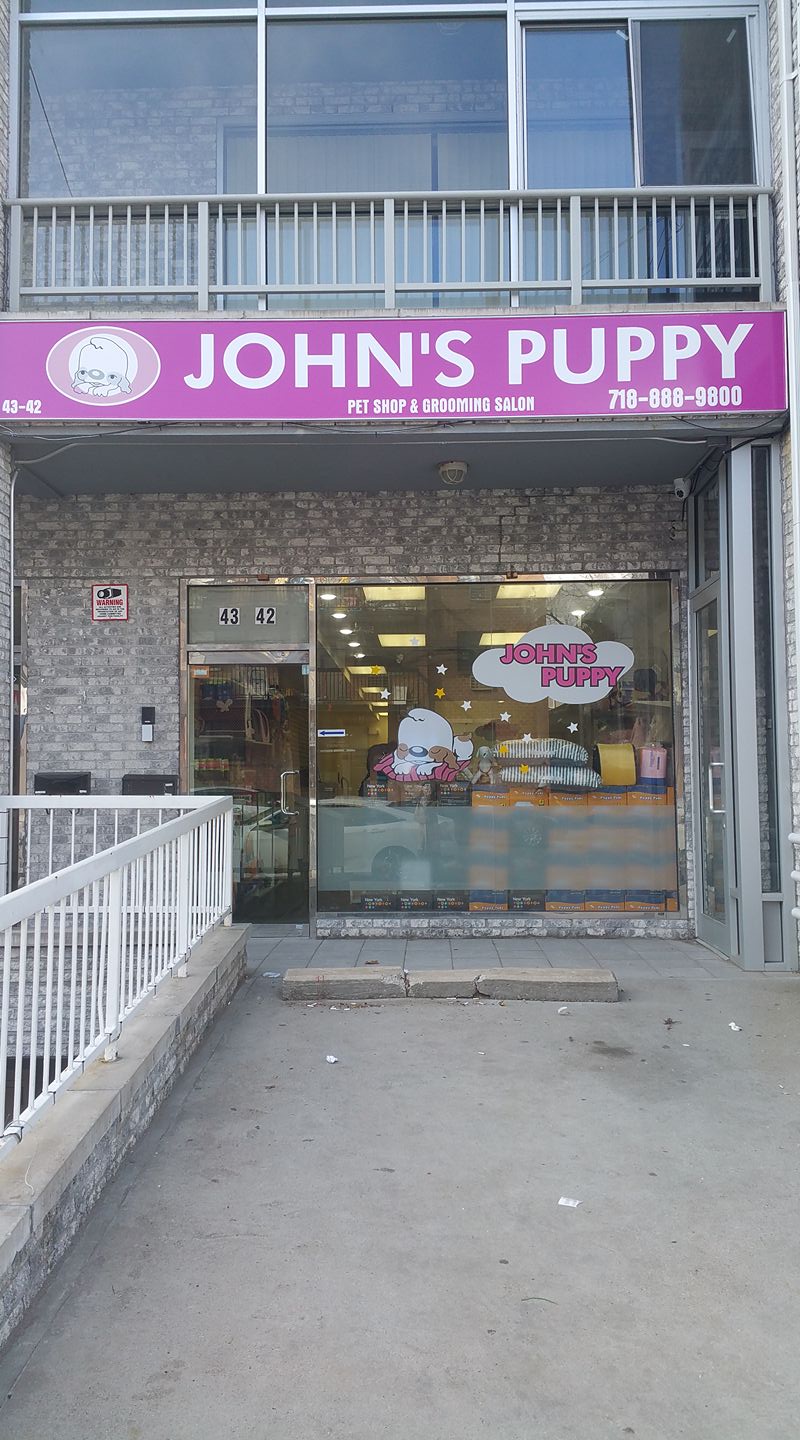 Johns Puppy | 43-42 162nd St, Flushing, NY 11354, USA | Phone: (718) 888-9800