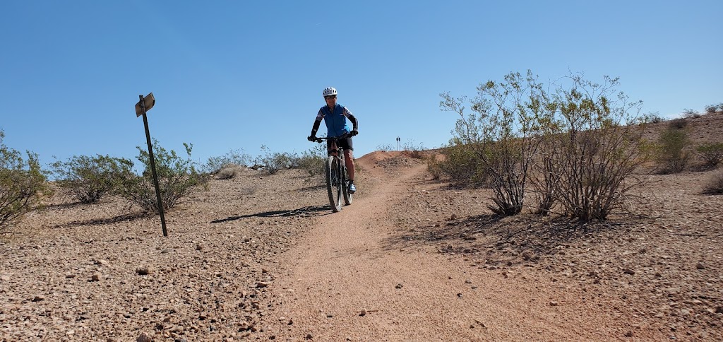 Logandale Mountain Bike Trails (Jackrabbit system) | Logandale, Moapa Valley, NV 89021, USA | Phone: (702) 306-8798