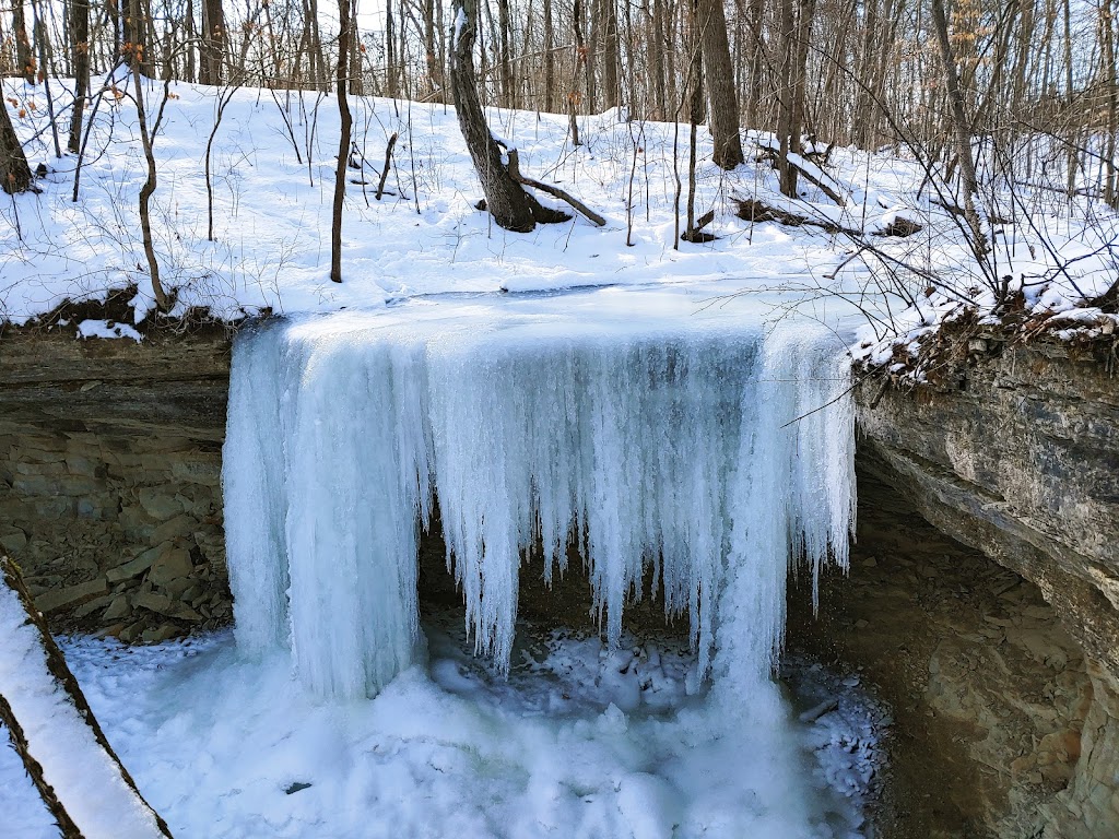 Hathaway Preserve At Ross Run - ACRES Land Trust | 1866 E Baumbauer Rd, Wabash, IN 46992, USA | Phone: (260) 637-2273