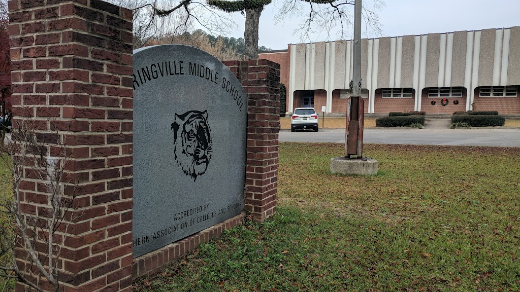 Springville Middle School | 6691 US-11, Springville, AL 35146, USA | Phone: (205) 467-2740