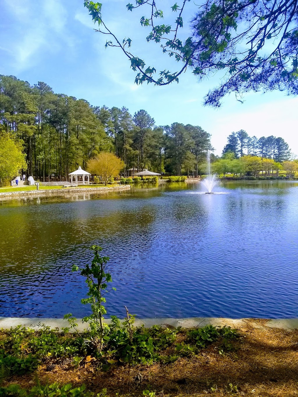 Pro Tees | 2967 Lenora Church Rd, Snellville, GA 30078, USA | Phone: (770) 601-0274