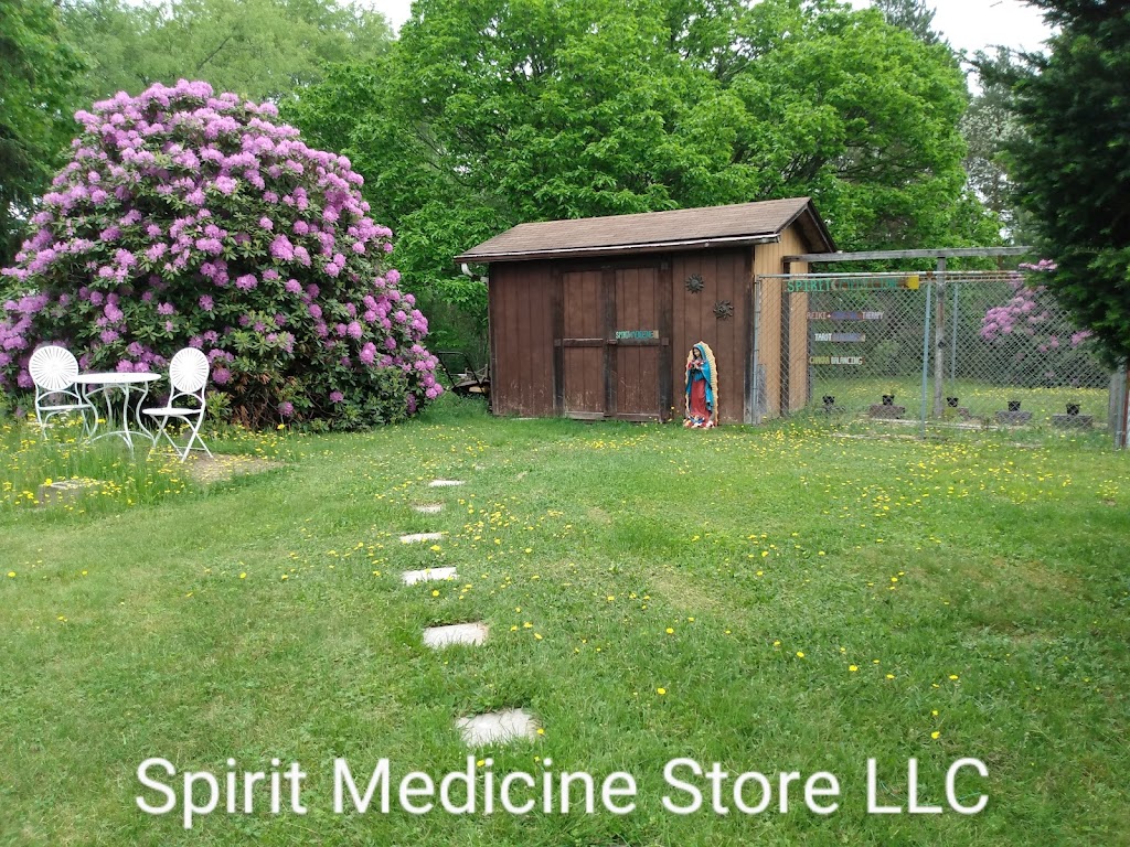 Spirit Medicine Store | 9609 PA-68, Rimersburg, PA 16248, USA | Phone: (724) 313-6243