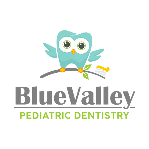 Blue Valley Pediatric Dentistry | 7560 160th St, Overland Park, KS 66085, USA | Phone: (913) 232-2708