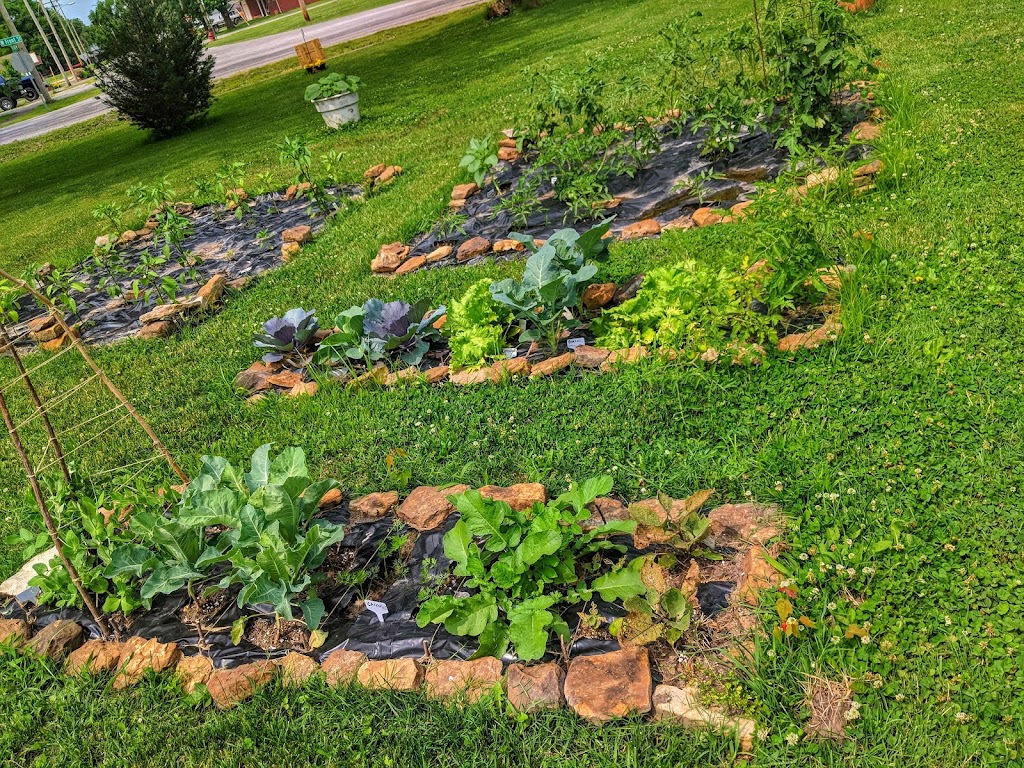 Campbell Hill community garden. | 119 S Pine St, Campbell Hill, IL 62916, USA | Phone: (618) 318-6664