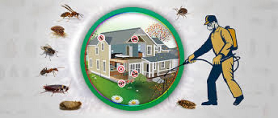 Abbott Pest Control | 35 E Horizon Ridge Pkwy Suite 110-34, Henderson, NV 89002, USA | Phone: (702) 968-0303