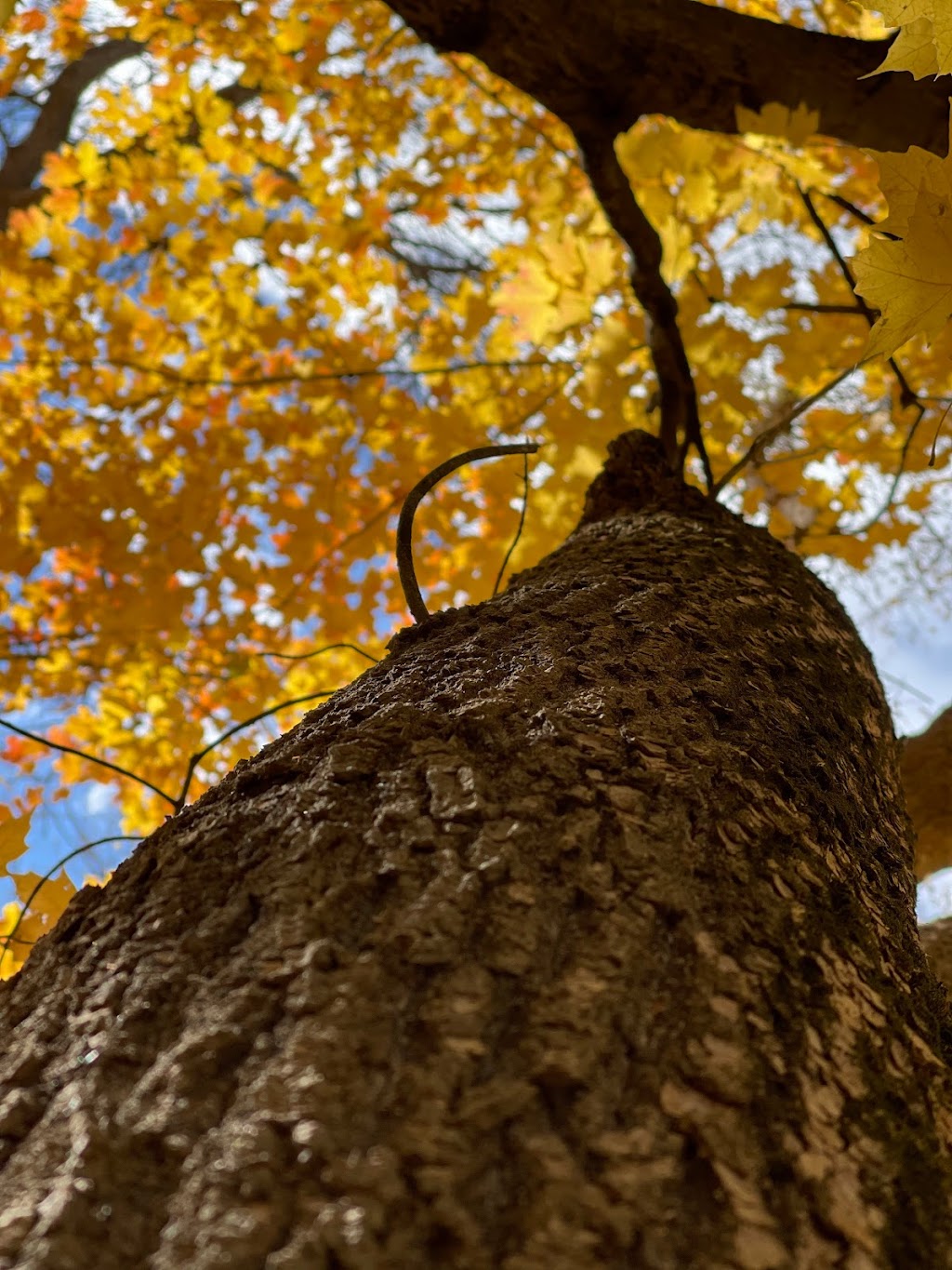 Teepee Tonka Park | 3rd Ave NE, Faribault, MN 55021, USA | Phone: (507) 334-2222