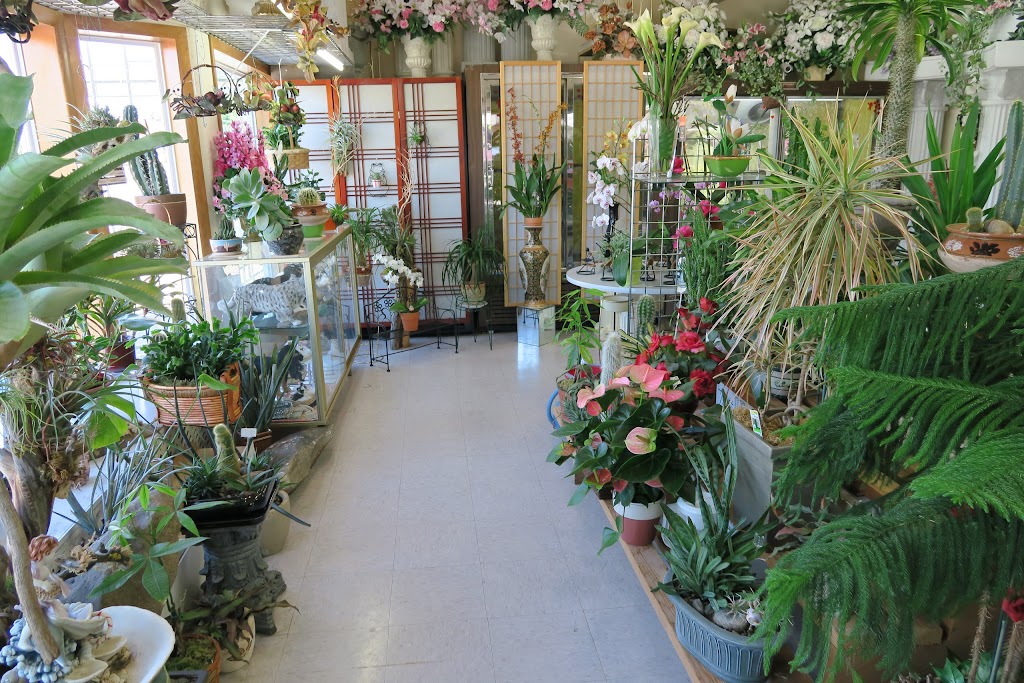 Annas Flowers | 8480 SE Division St, Portland, OR 97266, USA | Phone: (503) 788-1160