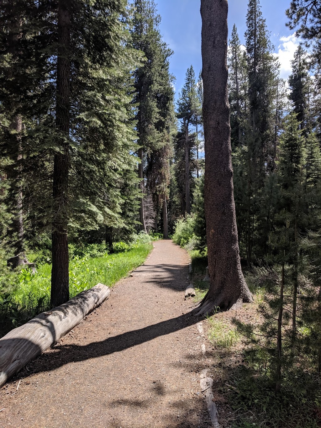 Donner Memorial State Museum | 12593 Donner Pass Rd, Truckee, CA 96161, USA | Phone: (530) 582-7892 Donner Memorial State Museum | 12593 Donner Pass Rd, Truckee, CA 96161, USA | Phone: (530) 582-7892