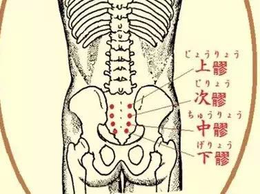 Cha’s TCM Acupuncture & Herb Clinic | United States, California, Irvine, Trabuco Rd, Suite150 | Phone: (949) 426-9070