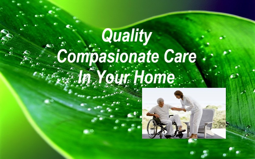 Caring home care | 1472 Shadowood Trail, Maineville, OH 45039, USA | Phone: (513) 305-9140