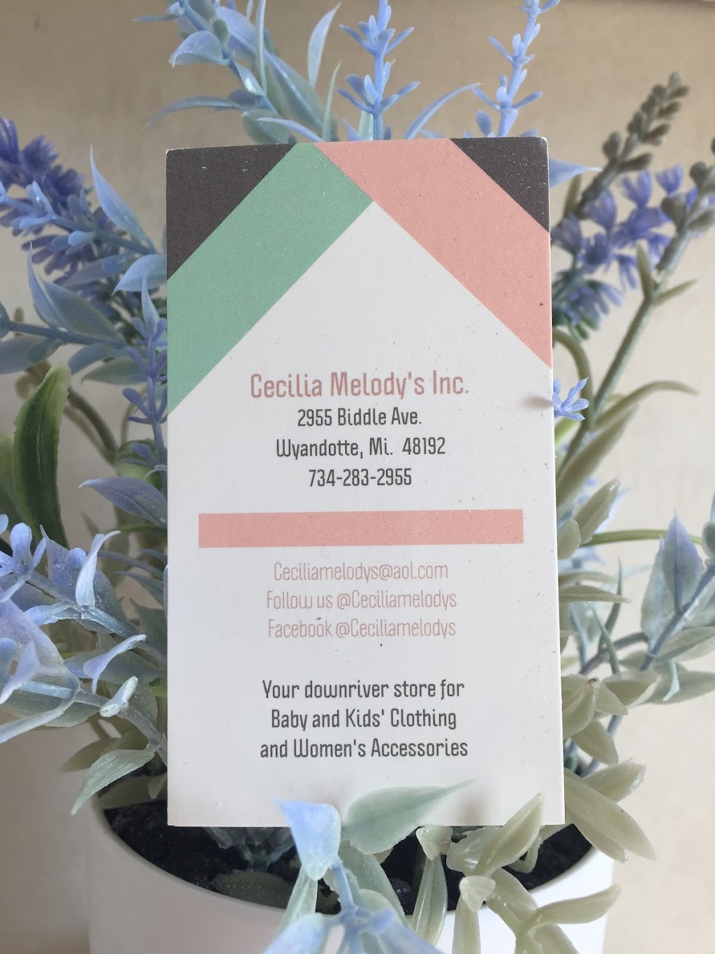 Cecilia Melodys | 2955 Biddle Ave, Wyandotte, MI 48192 | Phone: (734) 283-2955