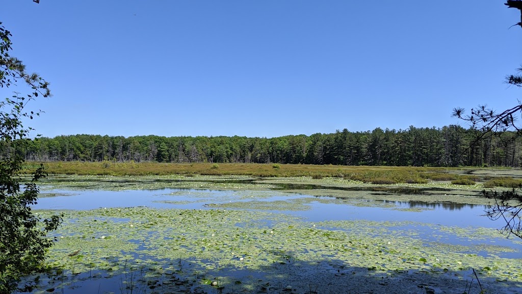 Hanging Bog Wildlife Management Area | Caneadea, NY 14717, USA | Phone: (716) 372-0645