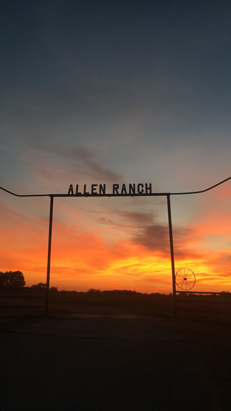 Allen Ranch Saddle Shop | 19800 S Memorial Dr, Bixby, OK 74008, USA | Phone: (918) 366-4217