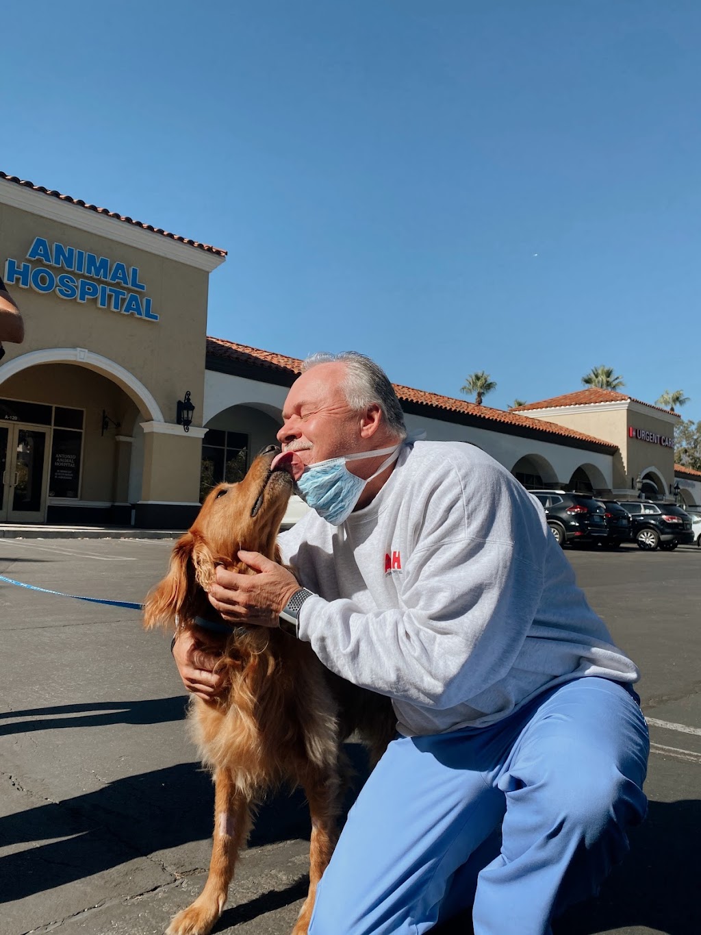 Antonio Animal Hospital | 22461 Antonio Pkwy a120, Rancho Santa Margarita, CA 92688 | Phone: (949) 858-0949