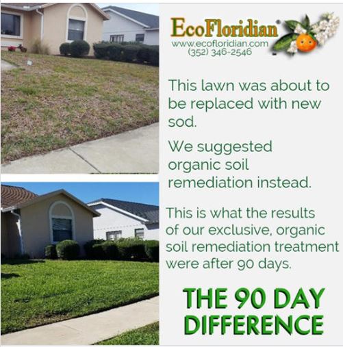 EcoFloridian Lawn & Pest Control | 5085 Pacific Ave, Spring Hill, FL 34607, USA | Phone: (352) 346-2546