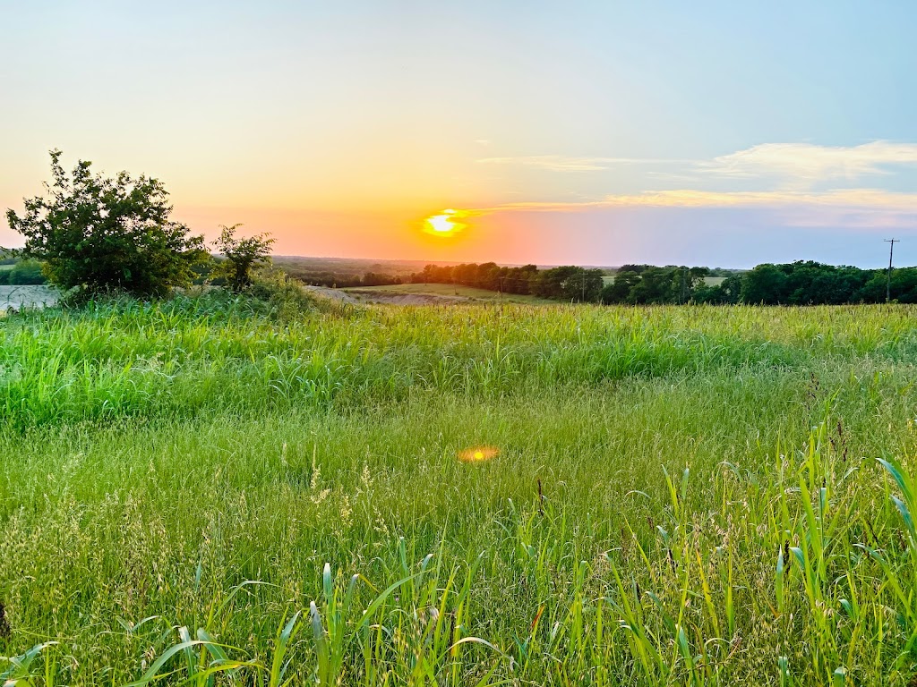 Siddhayatan Tirth & Spiritual Retreat Center | 9985 E, TX-56, Windom, TX 75492, USA | Phone: (903) 487-0717