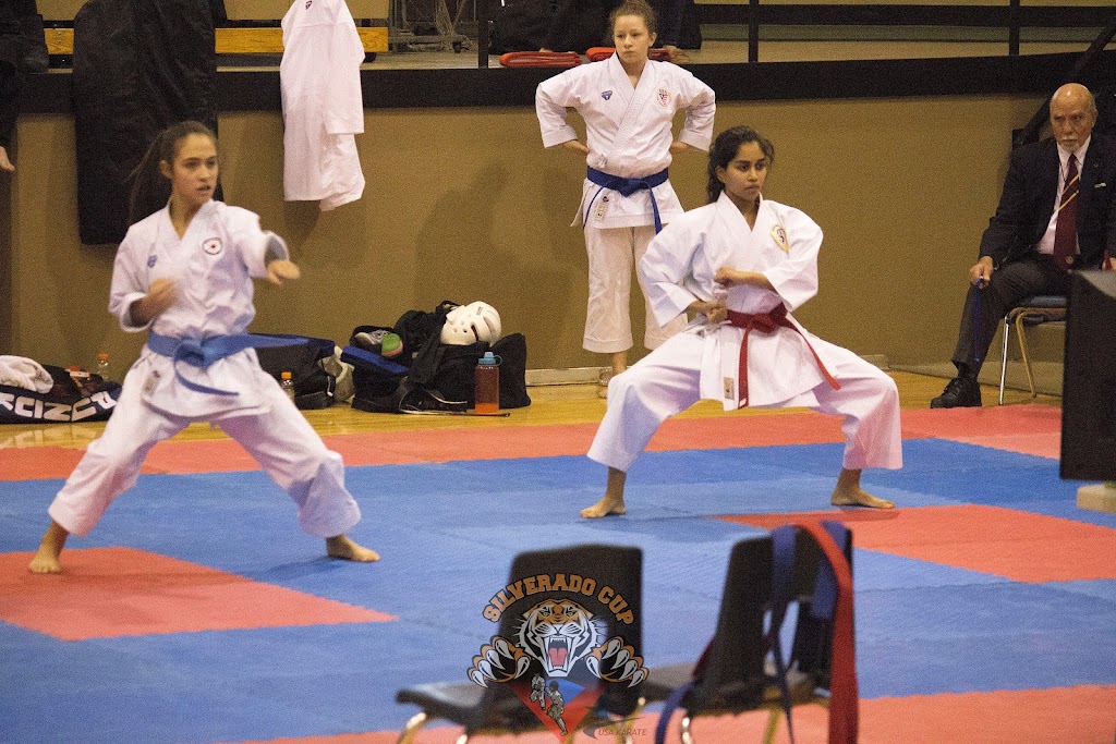 Shotokan Karate Jutsu | 13101 Eckles Rd bldg 2 suite 208, Plymouth, MI 48170, USA | Phone: (734) 447-3000