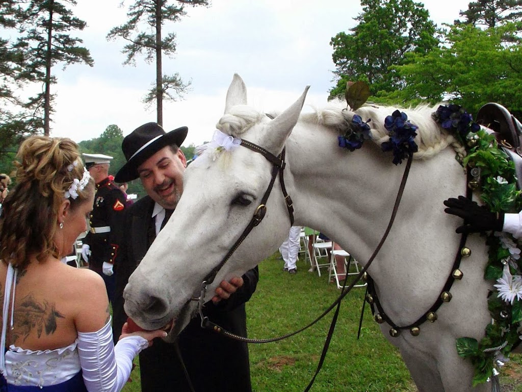 Smithfield Horse and Carriage, LTD. | 29, Smithfield, VA 23431, USA | Phone: (757) 635-9963