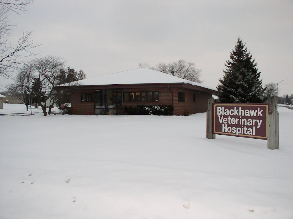 Blackhawk Veterinary Hospital | 1808 Lafayette St, Janesville, WI 53546 | Phone: (608) 752-5000