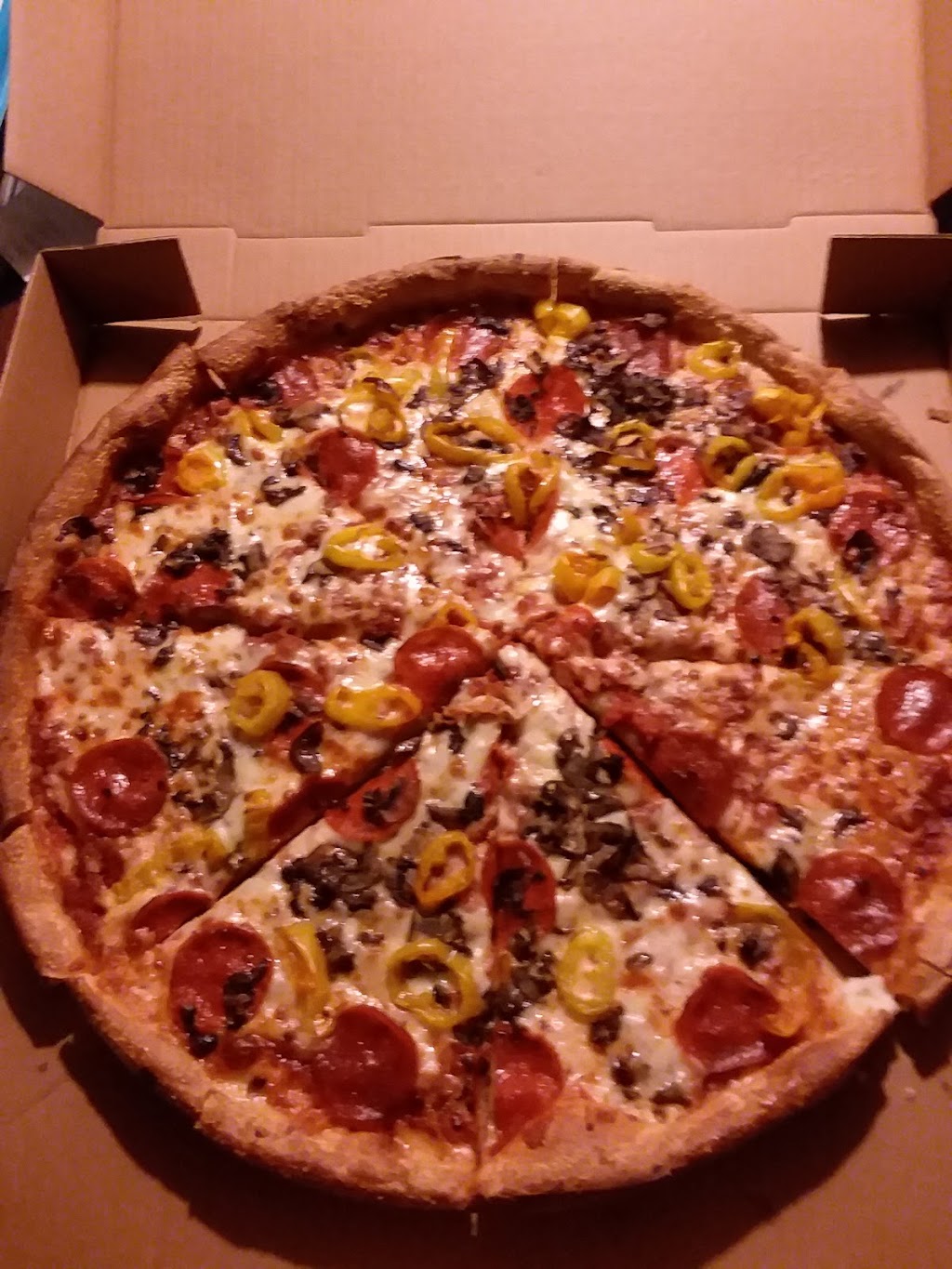 Pizza Pros | 653 10th St E, Palmetto, FL 34221, USA | Phone: (941) 722-1000