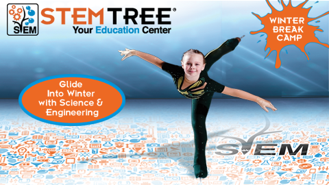 Stemtree Education Center LLC | 220 Maple Ave W, Vienna, VA 22180, USA | Phone: (703) 281-7836