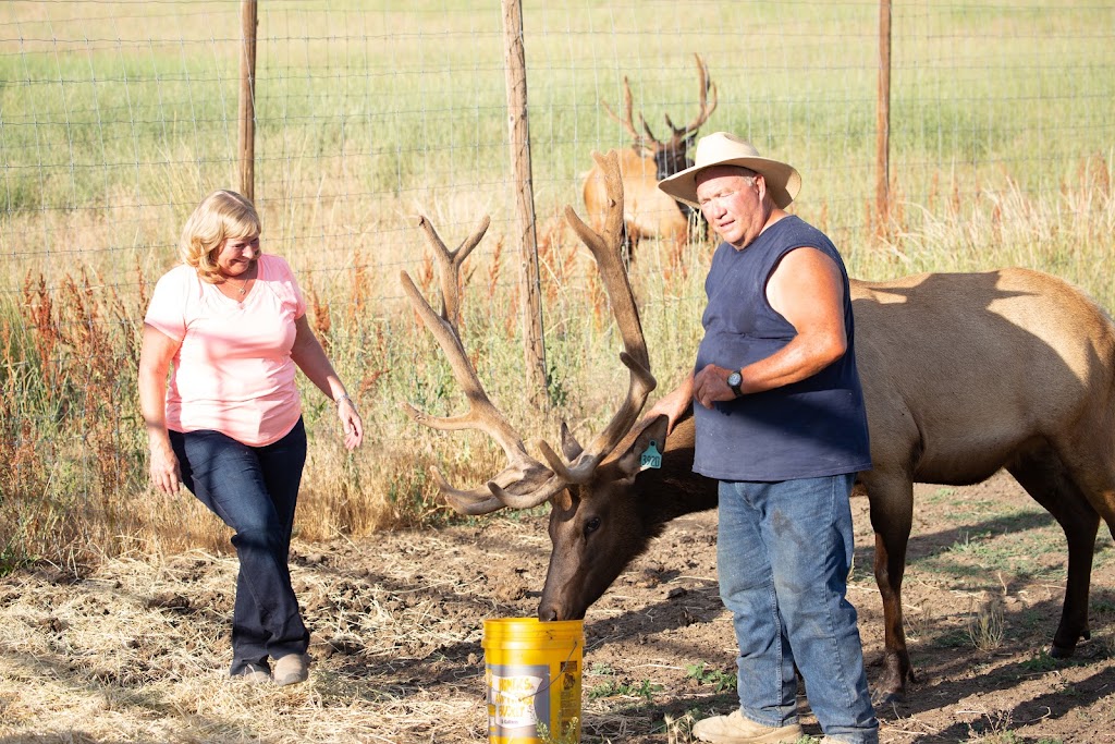 Timber Butte Elk Ranch | 104 Brownlee Rd, Horseshoe Bend, ID 83629, USA | Phone: (208) 789-0493