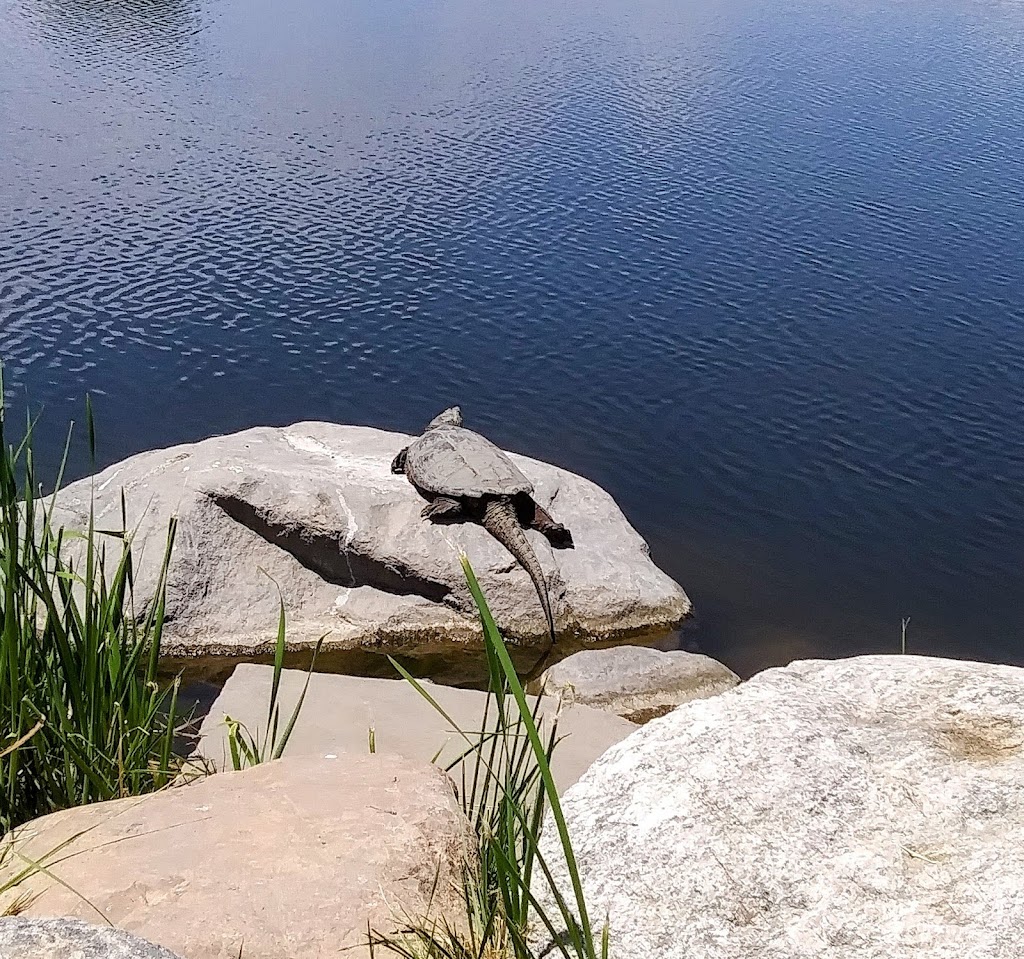 Westminster Station Pond | R0100116, Denver, CO 80221, USA | Phone: (303) 658-2400 Westminster Station Pond | R0100116, Denver, CO 80221, USA | Phone: (303) 658-2400