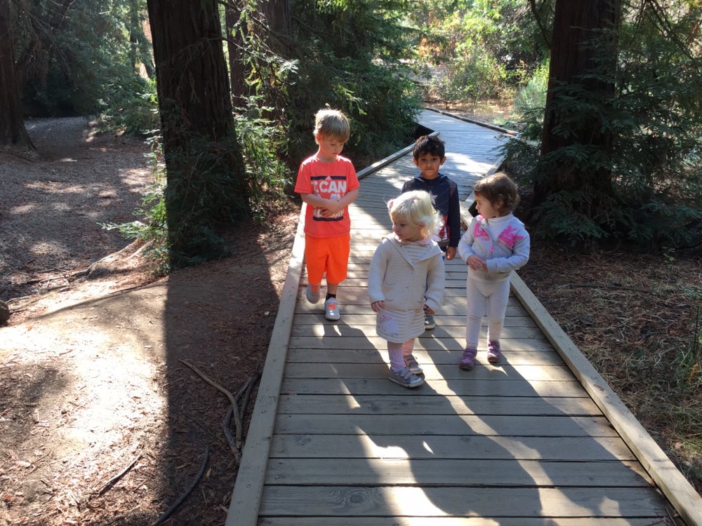 Joan Bourriague Preschool (JB Preschool) | 520 Palm Ave, Los Altos, CA 94022, USA | Phone: (650) 766-6499