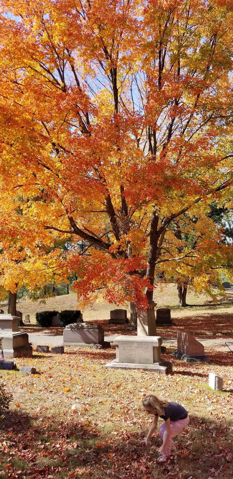 Forest Dale Cemetery | 150 Forest St, Malden, MA 02148, USA | Phone: (781) 322-2360