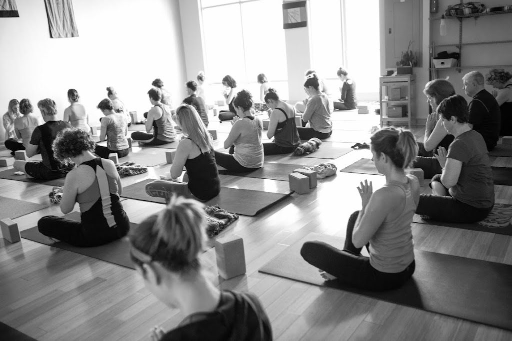 Studio Bamboo Institute of Yoga | 2861 Lynnhaven Dr #108, Virginia Beach, VA 23451, USA | Phone: (757) 496-7444