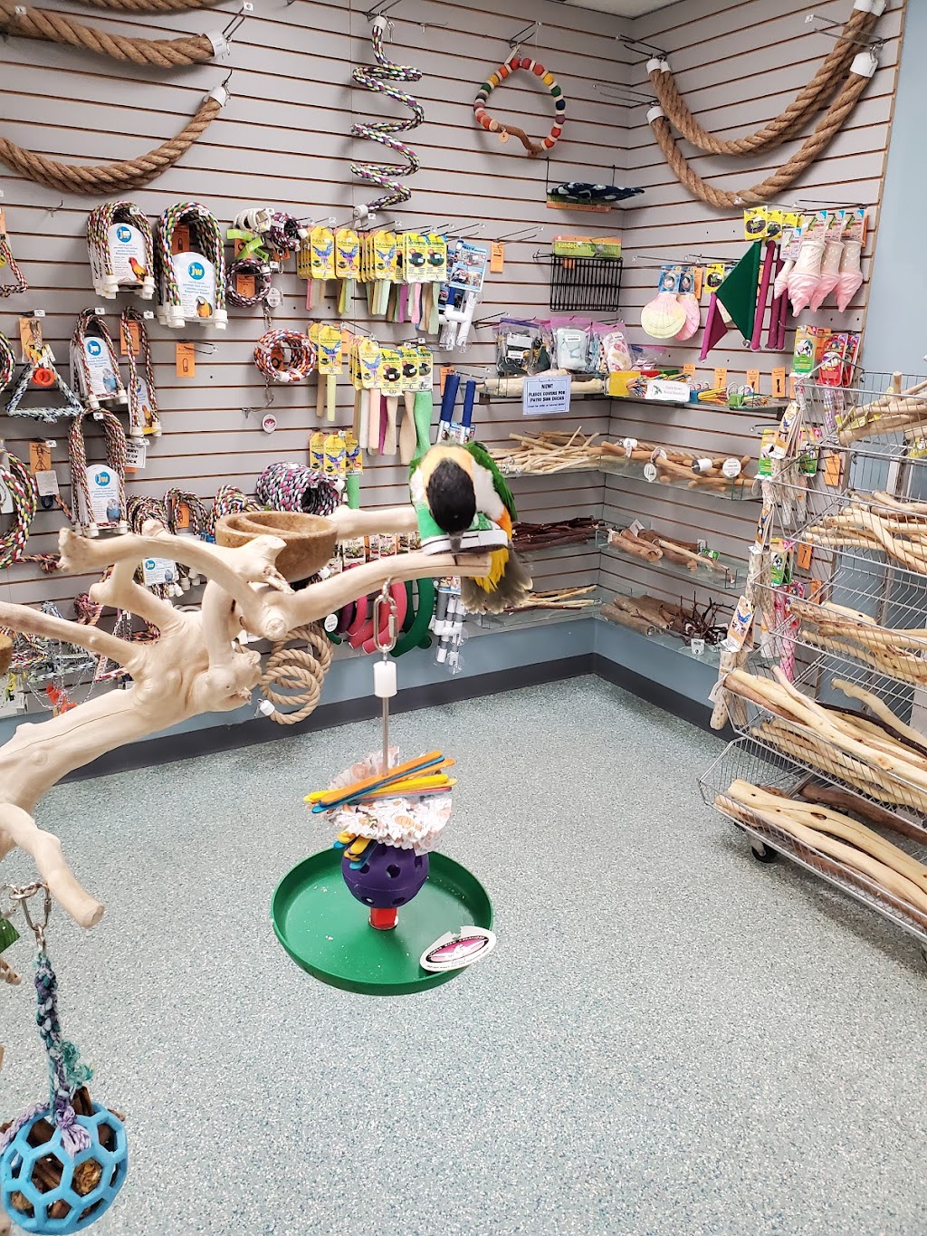 Sugarcreek Bird Farm | 108 S Main St, Bellbrook, OH 45305, USA | Phone: (937) 848-4819