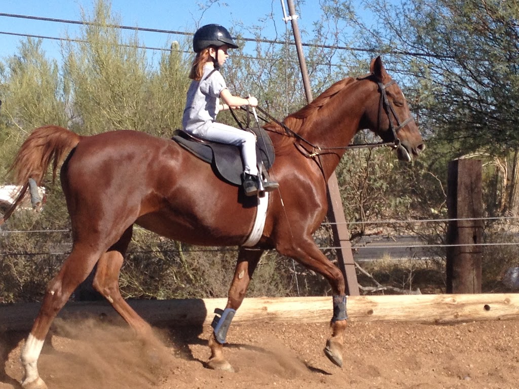 Sarabande Riding Club | 6405 W Ina Rd, Tucson, AZ 85743 | Phone: (520) 907-3965