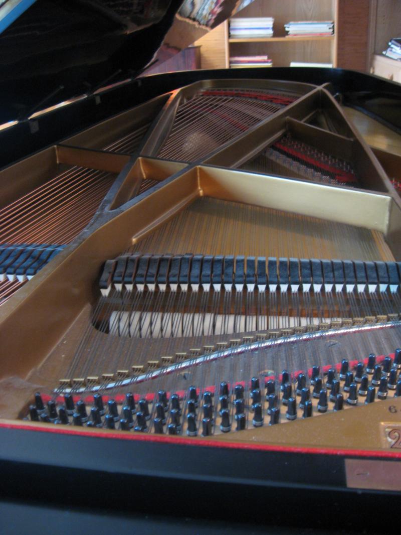 David Holland Piano | 15413 Lake Street Extension, Minnetonka, MN 55345, USA | Phone: (952) 938-0448