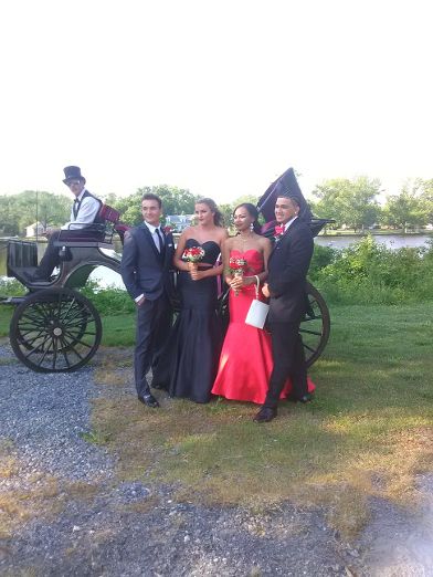 New Freedom Horse Drawn Carriages, LLC | 108 New Freedom Rd, Monroeville, NJ 08343, USA | Phone: (856) 358-6331