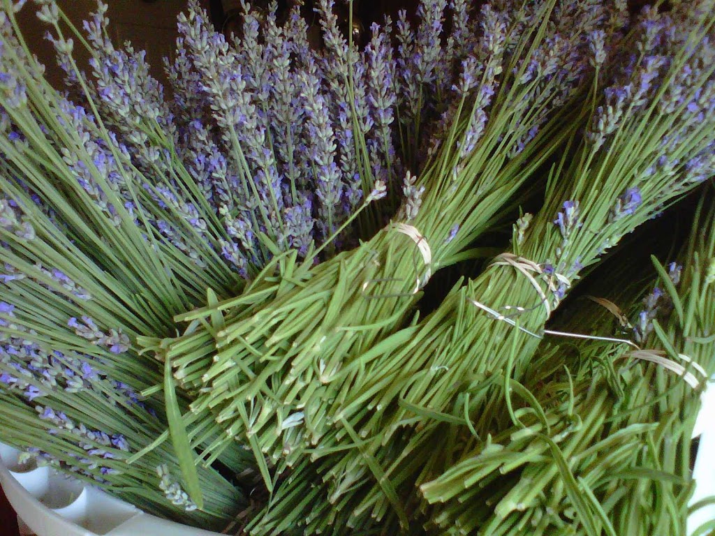 Lavender Road | 6175 Hickory Flat Hwy, Canton, GA 30115, USA | Phone: (404) 932-0422