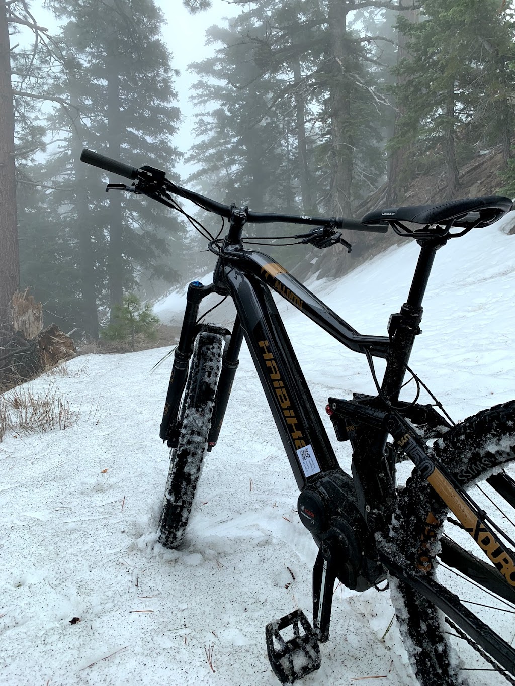 Wrightwood eBikes | 6025 Park Dr, Wrightwood, CA 92397, USA | Phone: (661) 400-7882