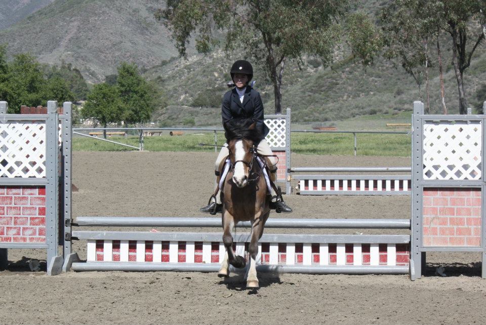 Stepping Stone Sport Horses | 43540 Avenida Felicita, Temecula, CA 92592, USA | Phone: (951) 297-0206