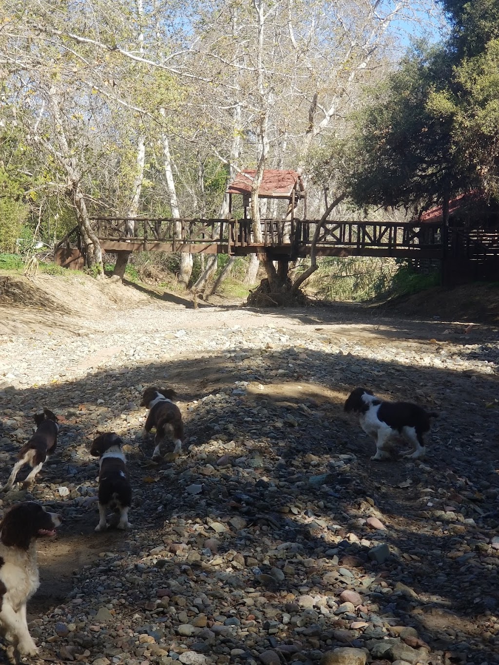 El Paraje de Cota | Paseo del Real 56, [no name, 22740 B.C., Mexico | Phone: 661 130 2588