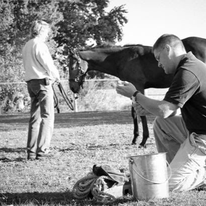 Irongate Equine Clinic | 1848 Waldorf Blvd, Madison, WI 53719 | Phone: (608) 845-6006